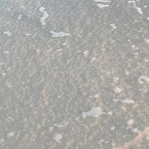 Meet your Posher, Pearl